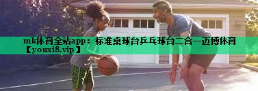 mk體育全站app：標準桌球臺乒乓球臺二合一邁博體育