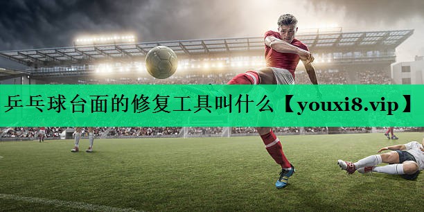 乒乓球臺面的修復工具叫什么 乒乓球臺面的修復工具叫什么